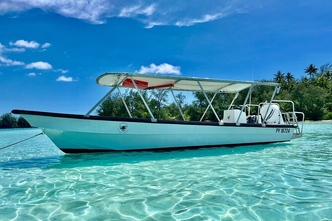 Private Whale Watching Adventure in Mo'orea - Price and value: is private worth $1,821.96 for up to 6?