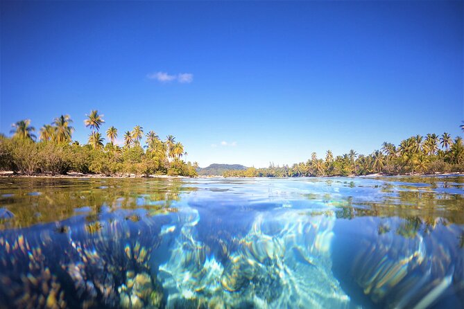 Raiatea-Tahaa Snorkeling in our beautiful Coral Garden - The Tahaa pearl farm stop: why it pairs well with the reef