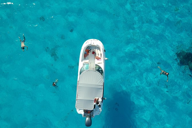 Reef Discovery Half Day Group Signature Tour - Key things to know before you go