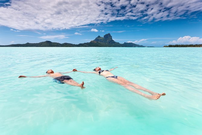 Reef Discovery Half Day Group Signature Tour - What’s included (and what it means for your day)