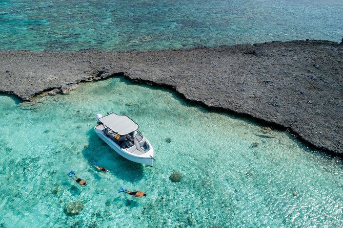 Reef Discovery Luxury Private Snorkeling Lagoon Tour - Price and Group Value, What You Pay For and How to Think About It