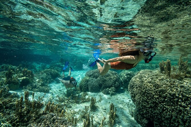 Reef Discovery Luxury Private Snorkeling Lagoon Tour - Should You Book Reef Discovery Luxury Private Snorkeling Lagoon Tour?