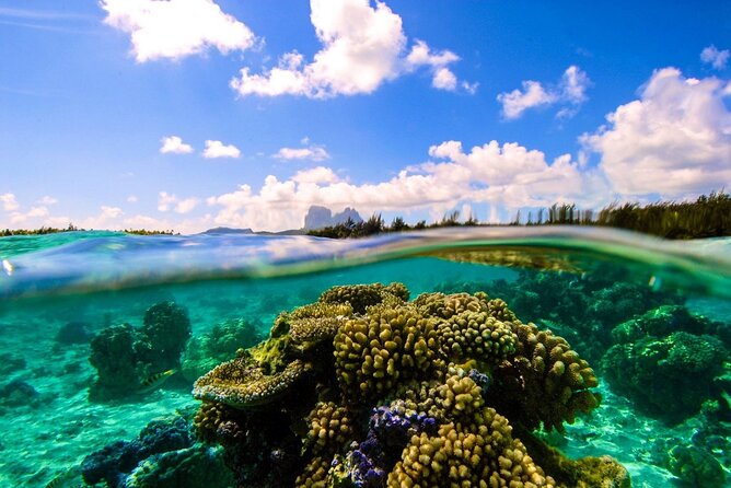 Reef Discovery Private Full Day Lagoon Tour & Water Lunch - Booking timing and what the weather can do