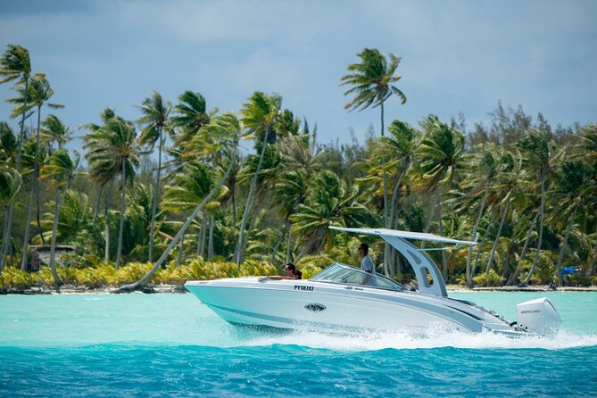 Reef Discovery Private Half Day Lagoon Tour - Key highlights worth planning around