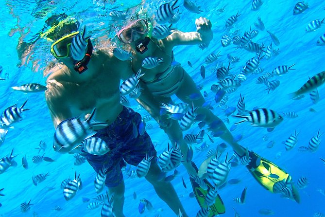 Reef Discovery Private Half Day Lagoon Tour - Why this private lagoon tour feels different on Bora Bora
