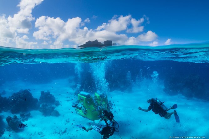 Reef Discovery Private Half Day Lagoon Tour - Who this tour suits best (and who should choose something else)
