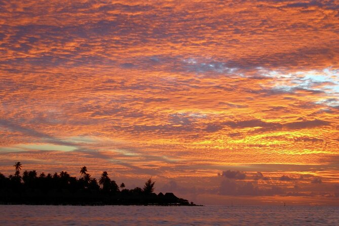 Reef Discovery Private Sunset Cruise in Bora-Bora - Who this cruise is best for