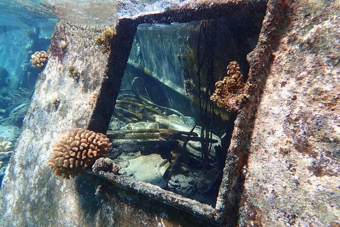 Reef Discovery Private Treasure Hunt - Stop-by-stop: what each reef moment is likely to show you