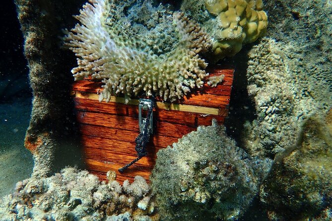 Reef Discovery Private Treasure Hunt - Snorkeling gear included, and what that means for your packing list