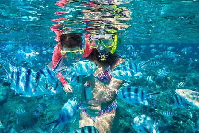 Reef Discovery Private Treasure Hunt - Meeting at 9:00 am, then getting moving right away