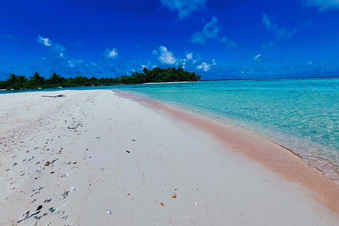 REEF ISLAND | private island | pink sand | natural swimming pools - Morning pickup and the route to Ohotu: why timing matters