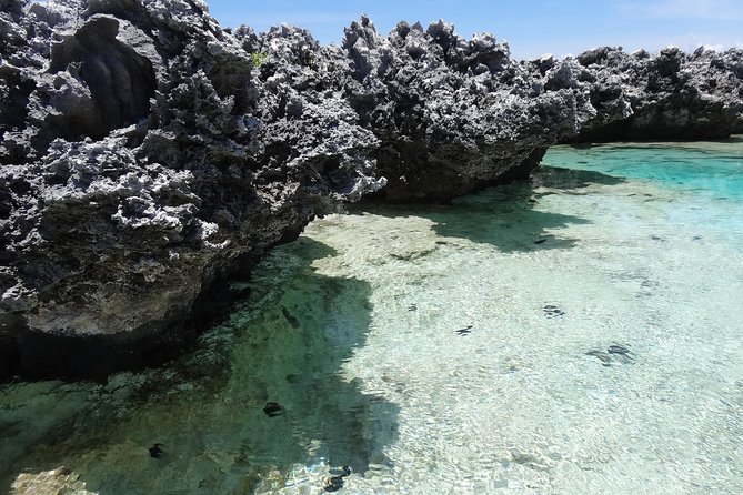 REEF ISLAND | private island | pink sand | natural swimming pools - Lunch, aperitif, and weaving/braiding: where the day becomes more than water time