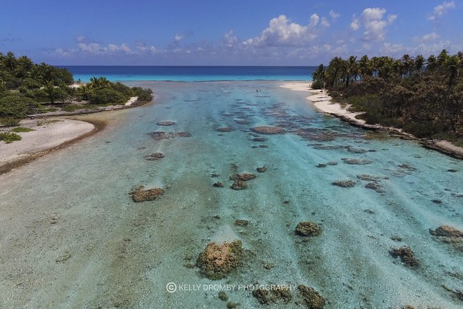 REEF ISLAND | private island | pink sand | natural swimming pools - Tiputa Pass dolphin viewing, then snorkeling at the aquarium stop