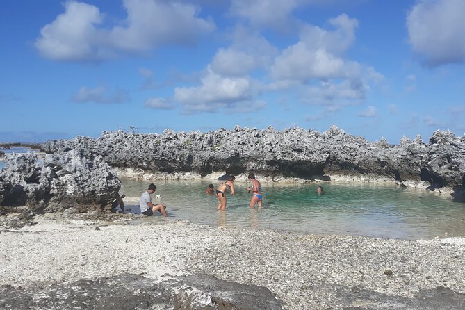 Reef island private tour - Tiputa Pass at 3:15 pm: Dolphins, Then Aquarium Snorkeling