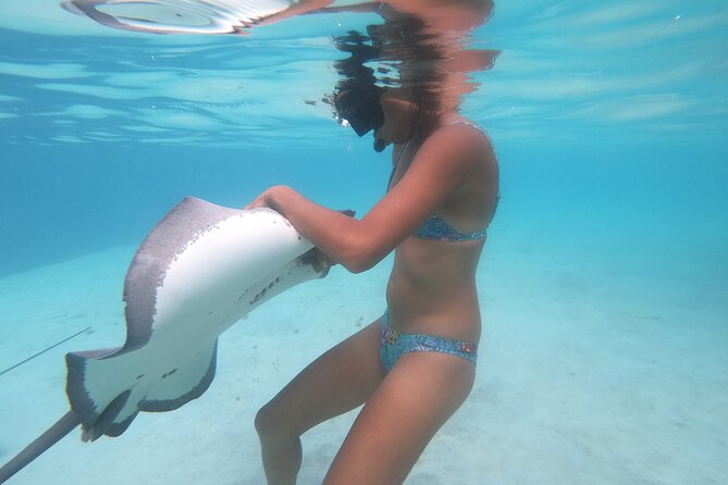 Respectful whale excursion to Tahiti in 4h30 - Price and value: what $222.11 buys you