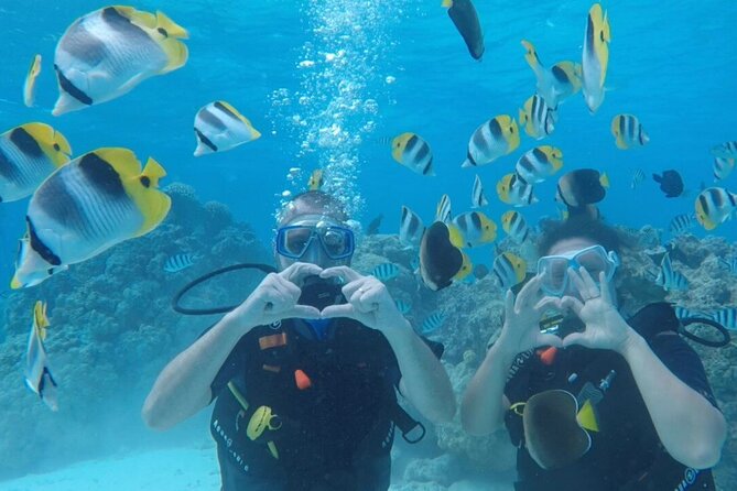 Romantic Dive for beginners in Bora Bora (2 people) with Video - Key Things That Make This Romantic Bora Bora Scuba Session Special