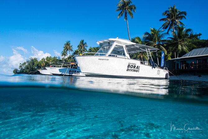 Romantic Dive for beginners in Bora Bora (2 people) with Video - The Black Pearl Keepsake, and Why It Fits the Romantic Theme