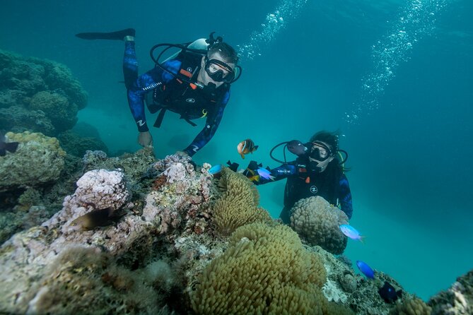 Romantic dive in the lagoon of Bora Bora. Private instructor on a shared boat - What This Bora Bora Lagoon Plan Really Feels Like at 2:00 pm