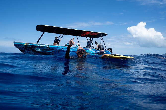 Sacred Experience Swimming with a Whale in Moorea - Entering Moorea’s humpback season, the right way