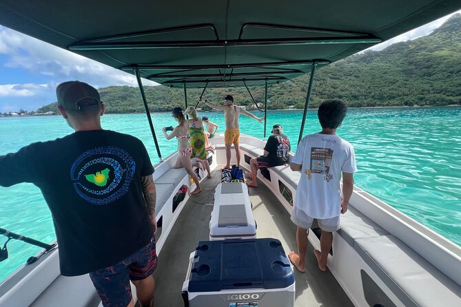 Sacred Experience Swimming with a Whale in Moorea - What you might see: whales, calves, breaches, and dolphins
