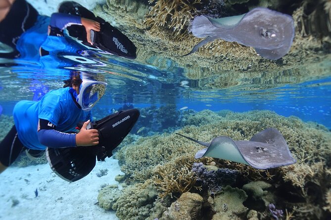 Sea Scooter Jet Snorkeling "Moorea Dream Adventure" - Stop 3 and beyond: rays, reef sharks, and the fun surprises