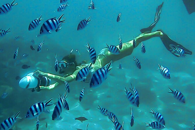 Sea Scooter Snorkel Tour - Lagoon Discovery : Wrecks, Coral Gardens and Tropical Fishies - Key Highlights at a Glance