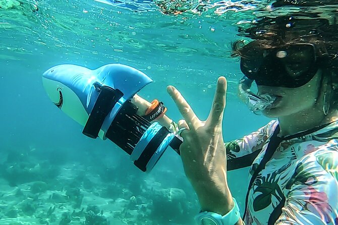 Sea Scooter Snorkel Tour - Lagoon Discovery : Wrecks, Coral Gardens and Tropical Fishies - Whale Season Chance From the Boat (July to November)