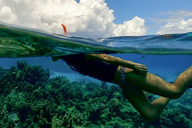 Sea Scooter Snorkel Tour - Lagoon Discovery : Wrecks, Coral Gardens and Tropical Fishies - What You Get in the Price: Gear, Snacks, and Photos