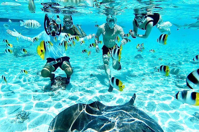 SHARED HALF DAY LAGOON TOUR - Bora Bora Cultural Lagoon Tour - Key highlights worth planning around