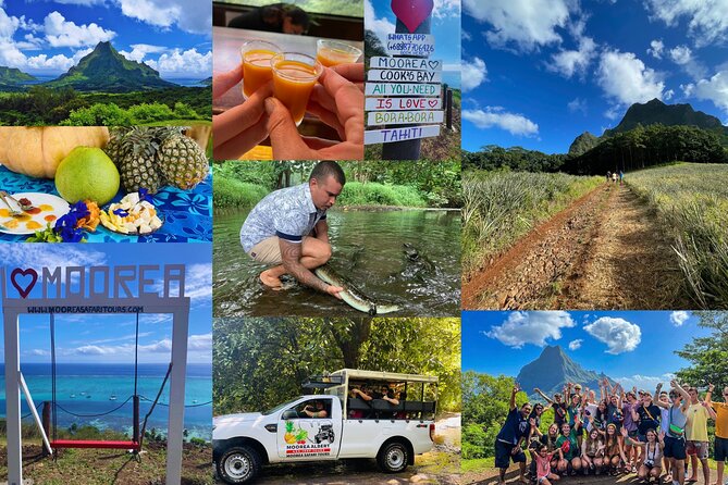 Shared Transfer: Hotel or Cruise Port to Tahiti Airport - Logistical watch-outs, Mahana Lodge, Airbnb, and Tahiti Iti