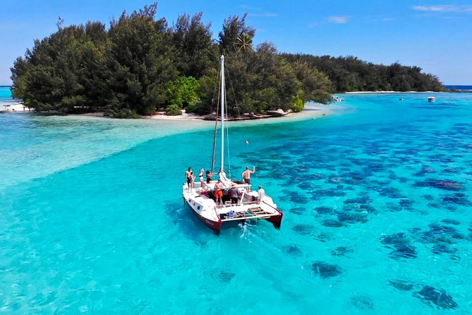 Shared Transfer : Hotel to Moorea Airport (or) Pier - Price and Value: Why Shared Transfers Make Sense on Moorea