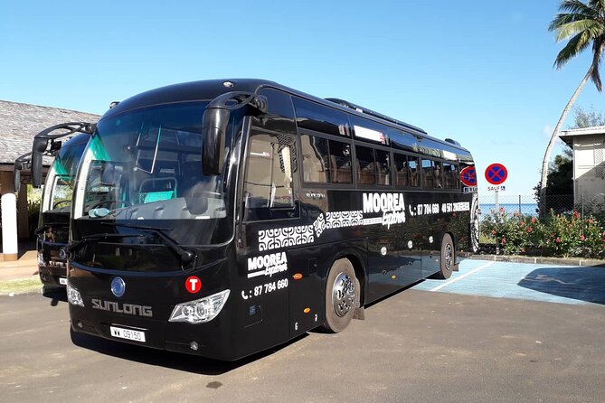 Shared Transfer : Hotel to Moorea Airport (or) Pier - Shared Van Comfort: Air-Conditioned and Not Miserable