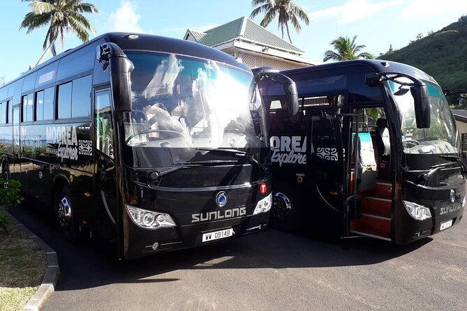 Shared Transfer : Moorea Airport (or) Pier to Hotel - Shared Moorea Transfer Value for $19, With Real-Time Relief