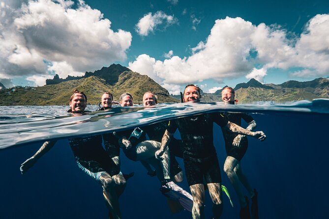 Shared Whale Expedition - Moorea Whale Time, But in a Small Group