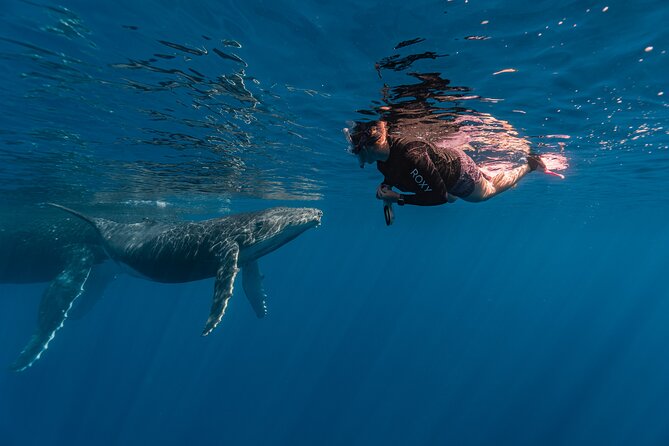 Shared Whale Expedition - The Crew Dynamic: Marie and Julian as the On-Water Team