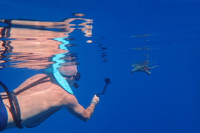 Small group snorkeling (5 people max): Turtles at 7:30am - Timing, transportation, and what to bring for a smooth morning