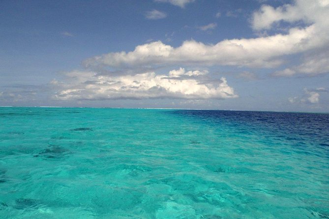 Small group snorkeling (5 people max): wrecks & tropical fishes at 1:00pm - Starting at Marina Taina, then cruising about 10 minutes