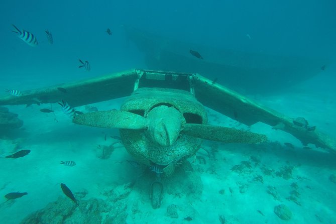 Small group snorkeling (5 people max): wrecks & tropical fishes at 1:00pm - Who should book this 1:00 pm wreck snorkel