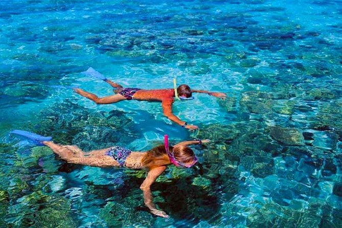 Small group snorkeling (5 people max): wrecks & tropical fishes at 10:30am - Gear included and the photo gift that raises the value