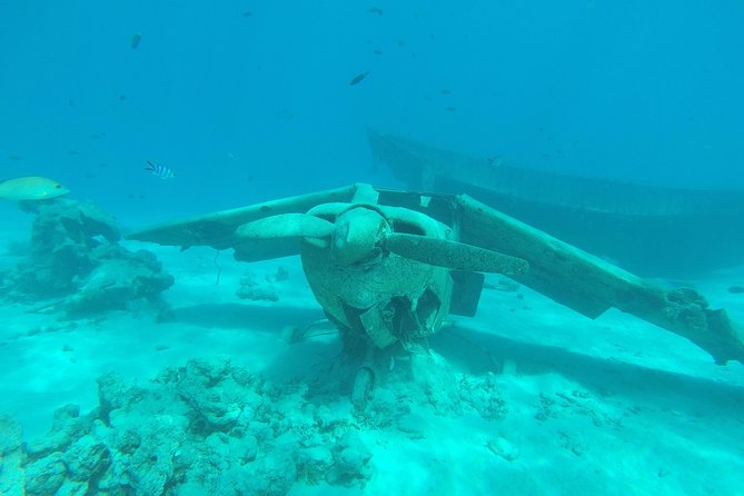 Small group snorkeling (5 people max): wrecks & tropical fishes at 3:30pm - Key things that matter before you go