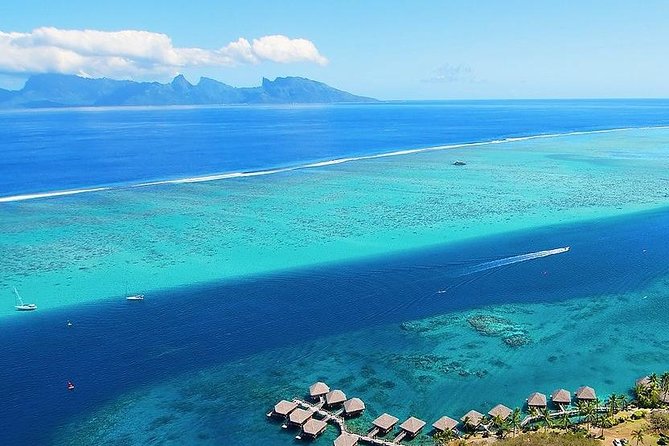 Small group snorkeling (5 people max): wrecks & tropical fishes at 3:30pm - Marina Taina meeting spot and a smooth 10 minute cruise