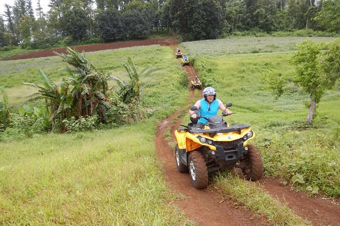 Small Quad Tour 2h30 Quad excursion in Moorea (single or two-seater) - Stop 3: Belvèdere lookout over Cook and Opunohu bays
