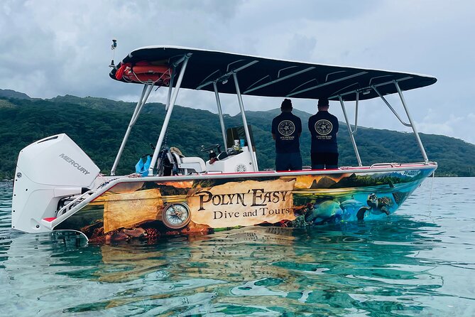 Snorkeling EN Small Group Tour in Tahiti - Tahiti Snorkeling, but With Space to Breathe