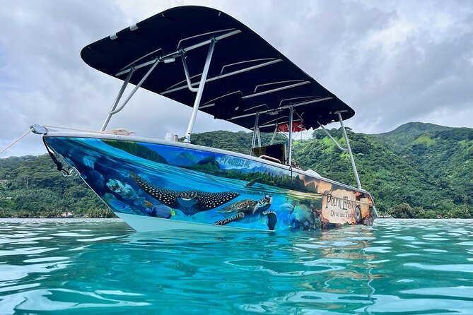 Snorkeling EN Small Group Tour in Tahiti - Punaauia at Dawn: Where the Long-Billed Dolphins Hang Out