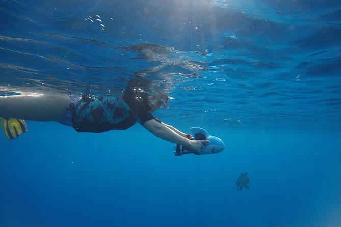 Snorkeling EN Underwater Scooter in Tahiti - What you might see: turtles, rays, sharks, coral, and wrecks
