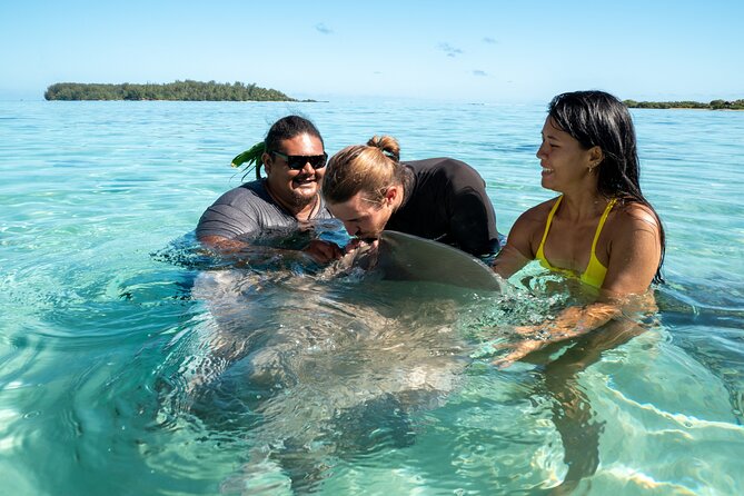 Snorkeling excursion and encounter with marine fauna in Moorea - Moorea Tiki Tour and the famous yellow boat: why it feels personal