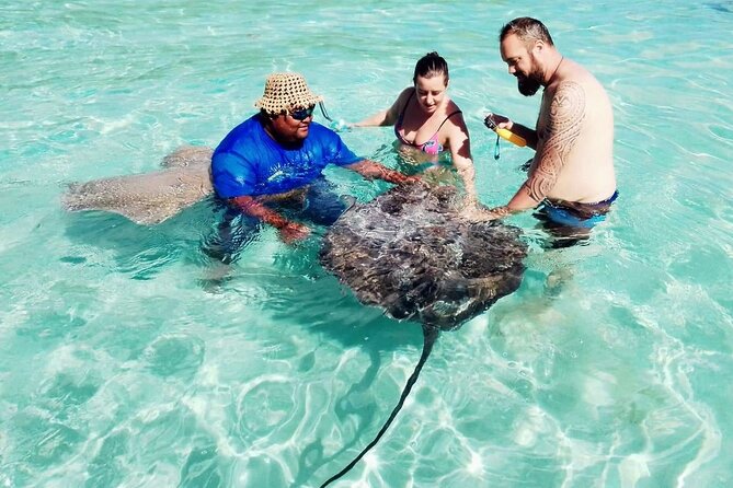 Snorkeling excursion and encounter with marine fauna in Moorea - Snorkeling stops: what you are actually doing, not just where you go
