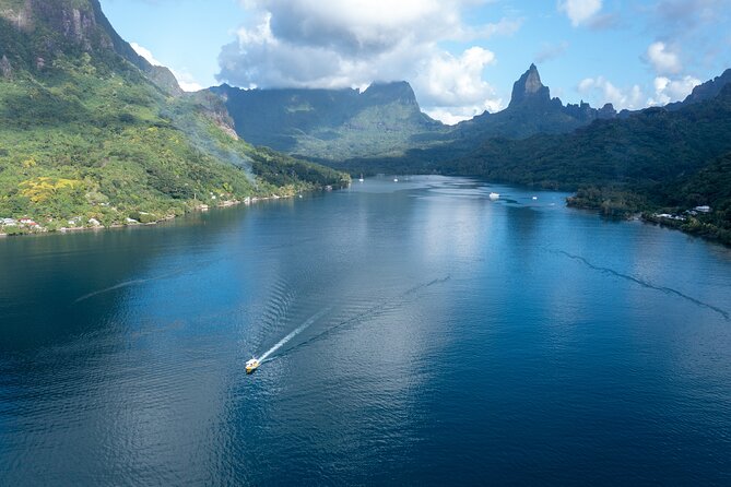Snorkeling excursion and encounter with marine fauna in Moorea - The marine life highlights: stingrays, turtles, reef sharks, and more