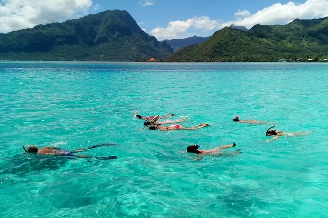 Snorkeling excursion and encounter with marine fauna in Moorea - Safety, comfort, and the one physical drawback to know now