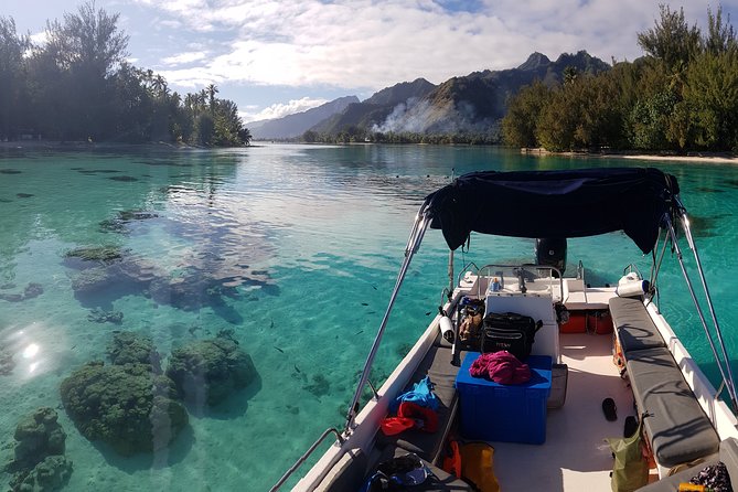 Snorkeling excursion, discovery of the lagoon, small group. - Key Highlights at a Glance
